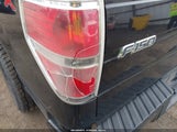 Ford F-150 Stx 1FTFX1CF0DFD38030 снимка