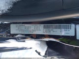 Miniaturka zdjęcia 9
