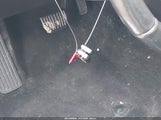 Miniaturka zdjęcia 11