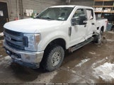 Ford F-350 Xl 1FT8W3B67KEG26199 fotografie