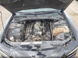 Miniaturka zdjęcia 10