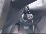Miniaturka zdjęcia 11
