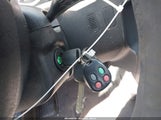 Miniaturka zdjęcia 11
