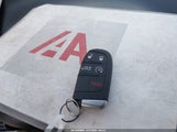 Miniaturka zdjęcia 11