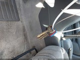 Miniaturka zdjęcia 11
