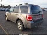 Ford Escape Xlt 1FMCU93118KA79149 снимка