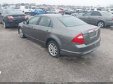 Miniaturka zdjęcia 3