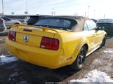 Ford Mustang 1ZVHT84N055243958 снимка