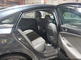 Miniaturka zdjęcia 8