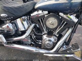 Harley-Davidson Flstc 1HD1BJY153Y017253 fotografie