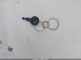 Miniaturka zdjęcia 11