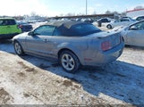 Ford Mustang V6 Deluxe/V6 Premium 1ZVFT84N375235833 fotografie