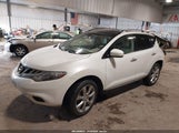 Nissan Murano Le JN8AZ1MW3DW309449 снимка