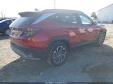 Hyundai Tucson Hybrid Limited KM8JEDD10SU355368 photo