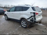 Miniaturka zdjęcia 3