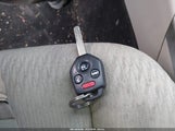 Miniaturka zdjęcia 11