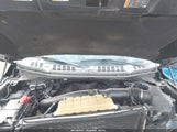 Ford F-150 Xlt 1FTFW1E49KKC86755 снимка