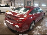 Hyundai Sonata Se 5NPE24AF1GH307698 снимка