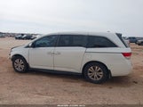 Honda Odyssey Ex-L 5FNRL5H60FB061203 снимка