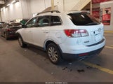 Mazda Cx-9 Touring JM3TB38A380156249 снимка