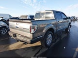 Ford F-150 Platinum 1FTFW1EF2BFA68909 снимка