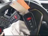 Miniaturka zdjęcia 11