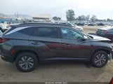 Hyundai Tucson Hybrid Blue KM8JBCD12RU202777 photo