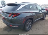 Hyundai Tucson Hybrid Blue KM8JBCD12RU202777 photo