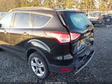 Miniaturka zdjęcia 6