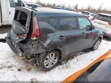 Miniaturka zdjęcia 4