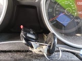 Hyundai Elantra Se KMHDH4AE8GU484963 снимка