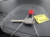Miniaturka zdjęcia 10