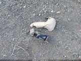 Toyota Tacoma Trd Off Road 5TFSZ5AN2HX109553 снимка