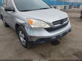 Miniaturka zdjęcia 6