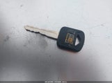 Miniaturka zdjęcia 11