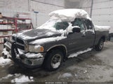 Dodge Ram  Slt/Laramie/St 1D7HU18N93J501258 снимка