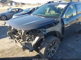 Toyota Rav4 Hybrid Xle Premium JTMB6RFV4RD140136 fotografie