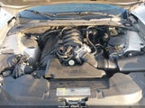 Miniaturka zdjęcia 10