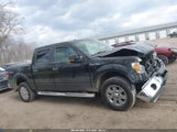 Ford F-150 Fx4/Harley-Davidson/King Ranch/Lariat/Platinum/Xl/Xlt 1FTFW1EV9AFD41589 снимка