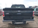 Ford F-150 Fx4/Harley-Davidson/King Ranch/Lariat/Platinum/Xl/Xlt 1FTFW1EV9AFD41589 photo