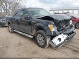 Ford F-150 Fx4/Harley-Davidson/King Ranch/Lariat/Platinum/Xl/Xlt 1FTFW1EV9AFD41589 photo