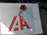 Miniaturka zdjęcia 11