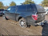 Ford F-150 Fx4/Harley-Davidson/King Ranch/Lariat/Platinum/Xl/Xlt 1FTFW1EV6AFD41999 photo