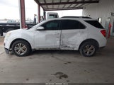 Chevrolet Equinox 1Lt 1GNALDEK2DZ109159 снимка