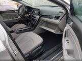 Hyundai Sonata Sport 5NPE34AF2FH115251 снимка