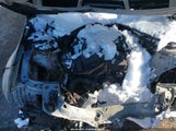 Miniaturka zdjęcia 10