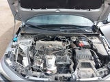 Honda Civic Lx 19XFL2H52RE008103 photo
