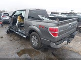 Ford F-150 Xl/Xlt 1FTEW1E80AFC15031 снимка