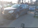 Chevrolet Equinox Ls 2GNFLCEKXC6223789 fotografie
