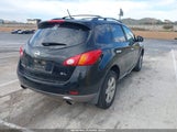 Nissan Murano Sl JN8AZ1MU7AW006877 fotografie
